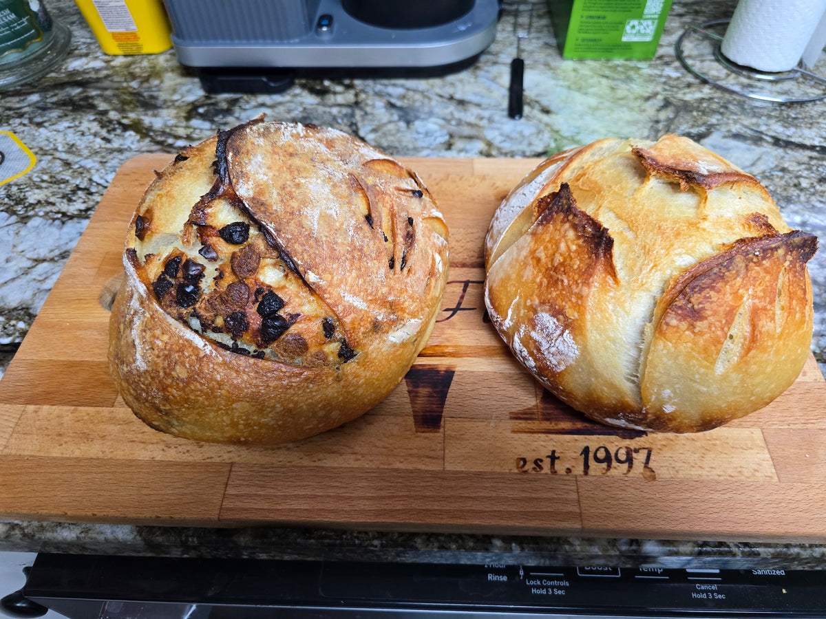 Sourdoughs